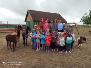 Przedszkolaki na 
wycieczce
 w Stajni Oleszcze 🐎