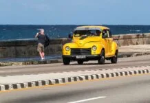 Egzamin teoretyczny a edukacja obywatelska