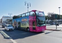 Australia – jazda lewą stroną i spotkania z kangurami