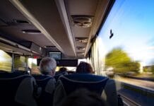 Jak zachować się po uderzeniu w zwierzę?