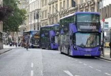 Czy można się nauczyć testów na pamięć i czy to ma sens?