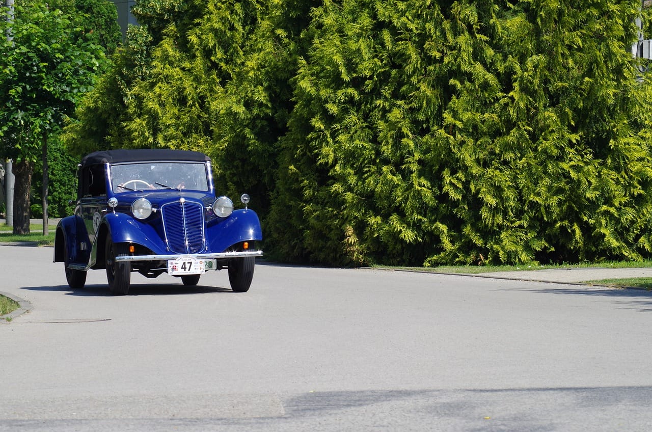 Karta parkingowa w UE – gdzie działa, gdzie nie? spkrzyzanow (48)