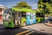 Jak unikać stłuczek przy manewrach?