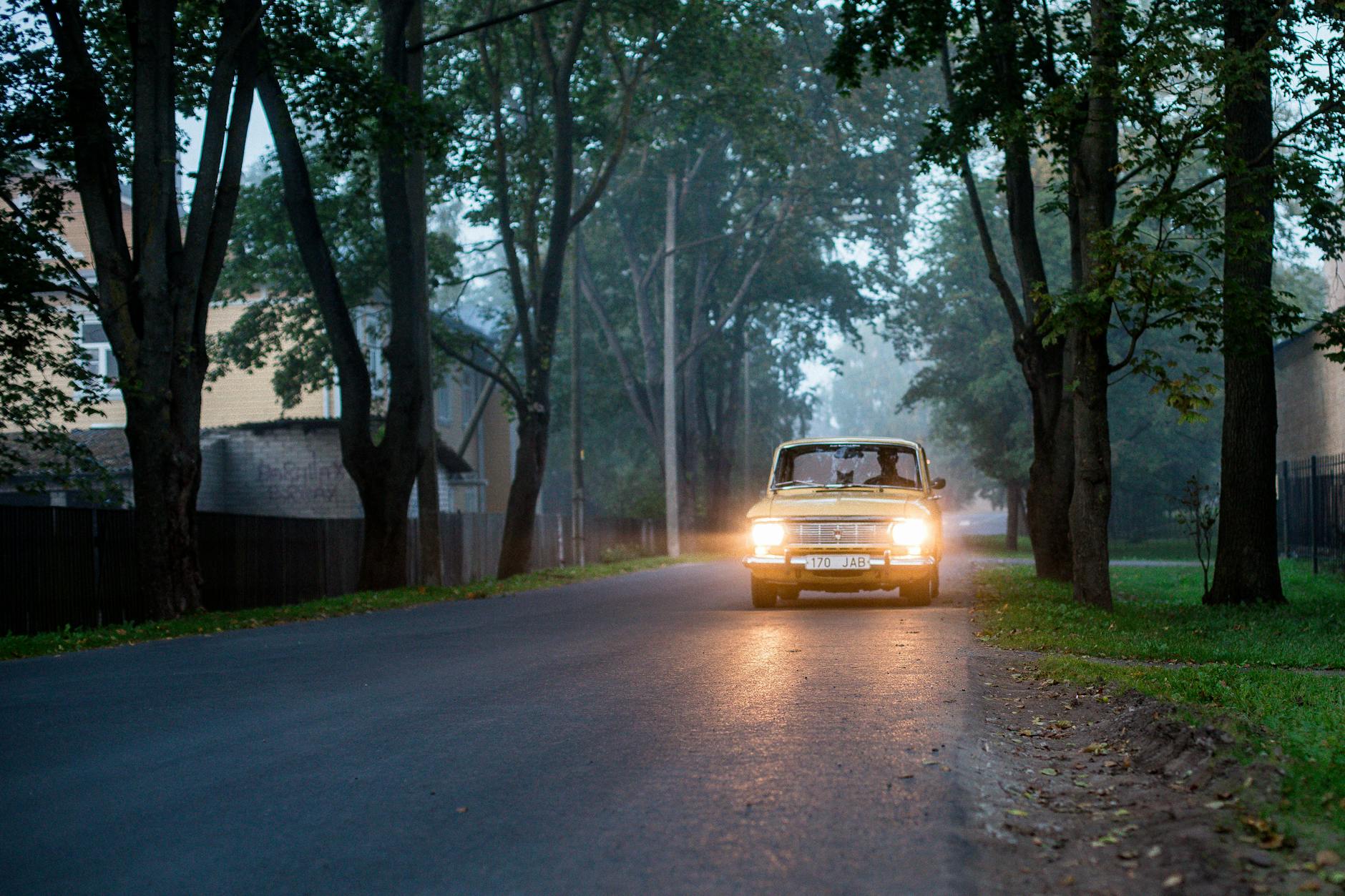 Auto z włączonymi światłami jedzie o zmierzchu we mgle aleją drzew